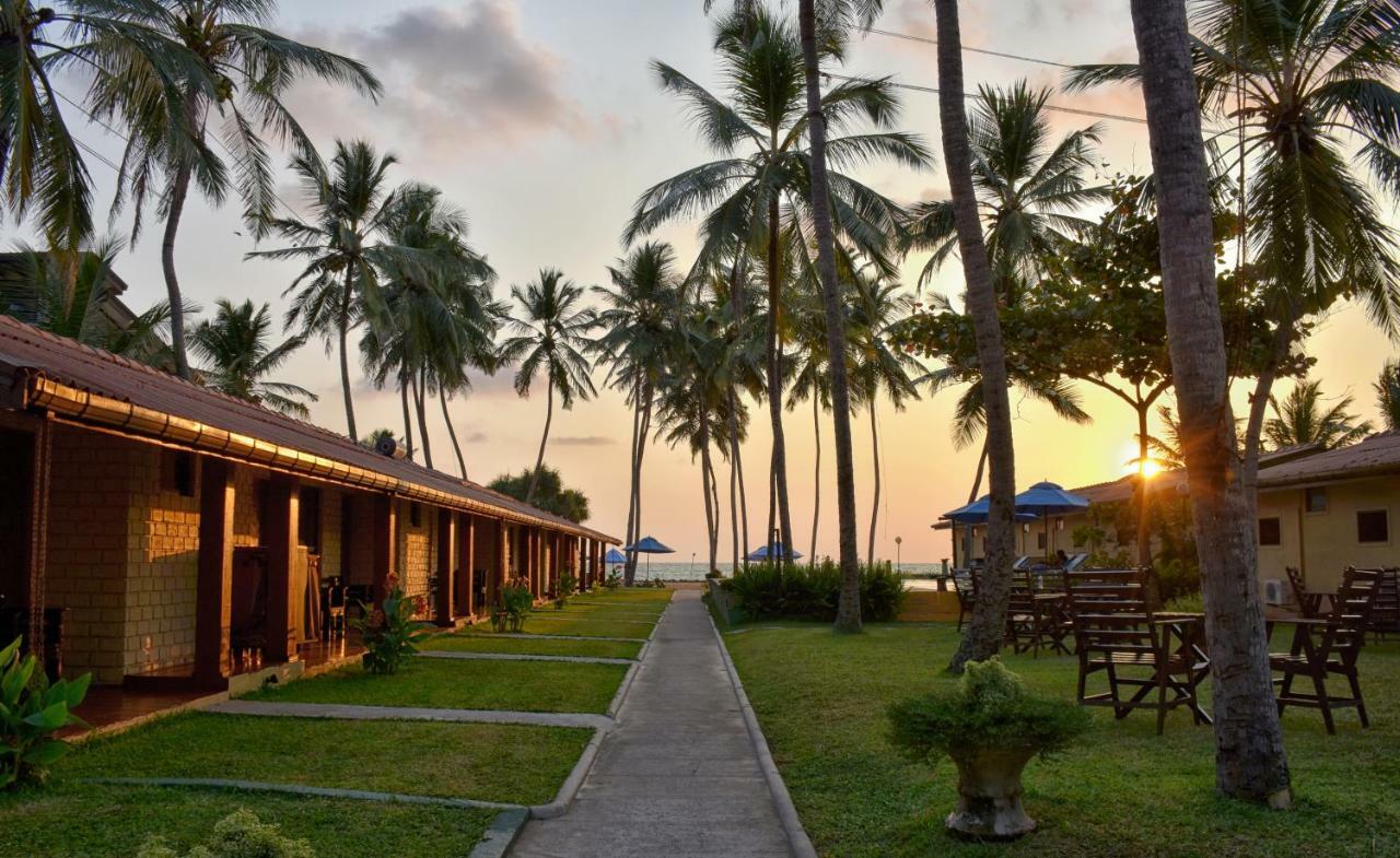 Amagi Beach - Secluded Slice Of Paradise Marawila Exterior foto